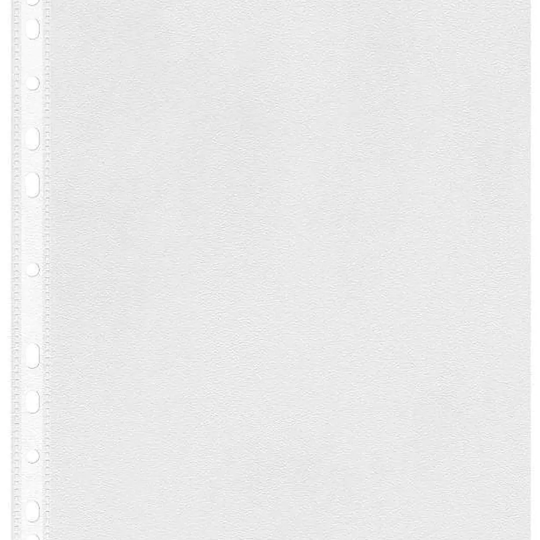 Esselte Eco Pack de 100 Fundas Multitaladro Portadocumentos A4 - Lamina de PP Reciclable Transparente de 0,05mm - Acabado Piel de Naranja - 11 Taladro 1