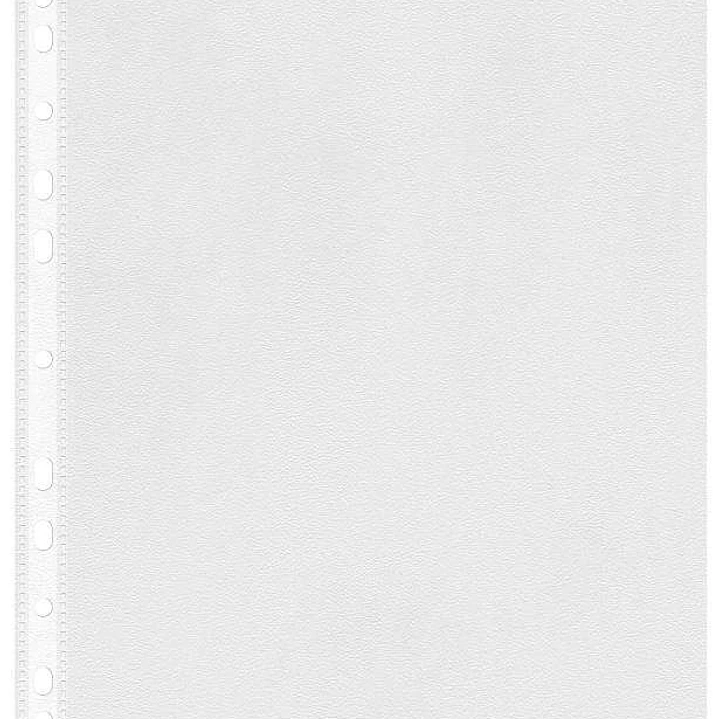 Esselte Eco Pack de 100 Fundas Multitaladro Portadocumentos A4 - Lamina de PP Reciclable Transparente de 0,05mm - Acabado Piel de Naranja - 11 Taladro 1