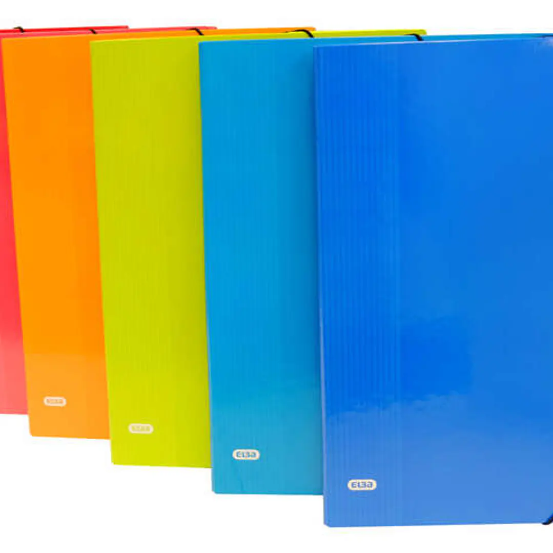Elba Color Life Clasificador Tamaño Folio con 12 Separadores - Lomo de 25mm - Con Solapa y Cierre de Gomas - Resistente y Duradero - Colores Surtidos 1