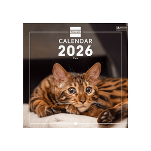 Finocam Calendario de Pared Internacional - Anual 2026 - Imagenes Variadas - 191x5x185mm - Tematica de Gatos