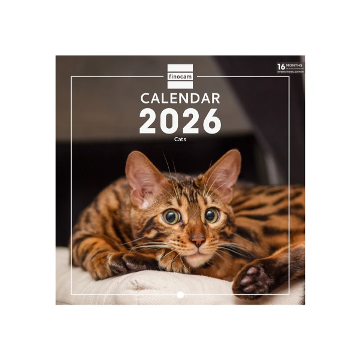 Finocam Calendario de Pared Internacional - Anual 2026 - Imagenes Variadas - 191x5x185mm - Tematica de Gatos 1