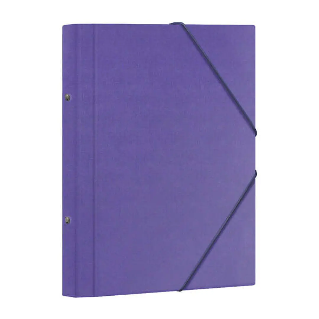 Dohe Carpeta Clasificadora 12 Departamentos - Formato Folio - Carton Plastificado - Cierre con Gomas - Color Morado 1