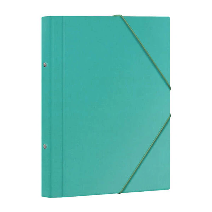 Dohe Carpeta Clasificadora 12 Departamentos - Formato Folio - Carton Plastificado - Cierre con Gomas - Color Verde Claro 1