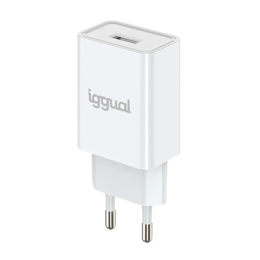 iggual Cargador de pared 1xUSB-A 5V/2A (10W) 3