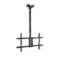 Tooq LPCE1186TSLI-B Soporte techo TV 43
