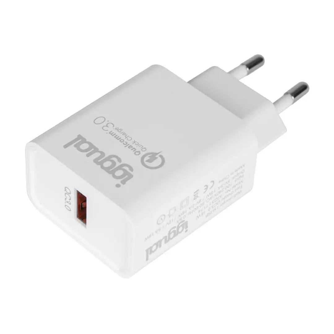 iggual Cargador 1xUSB-A carga rápida QC3.0 18W 1