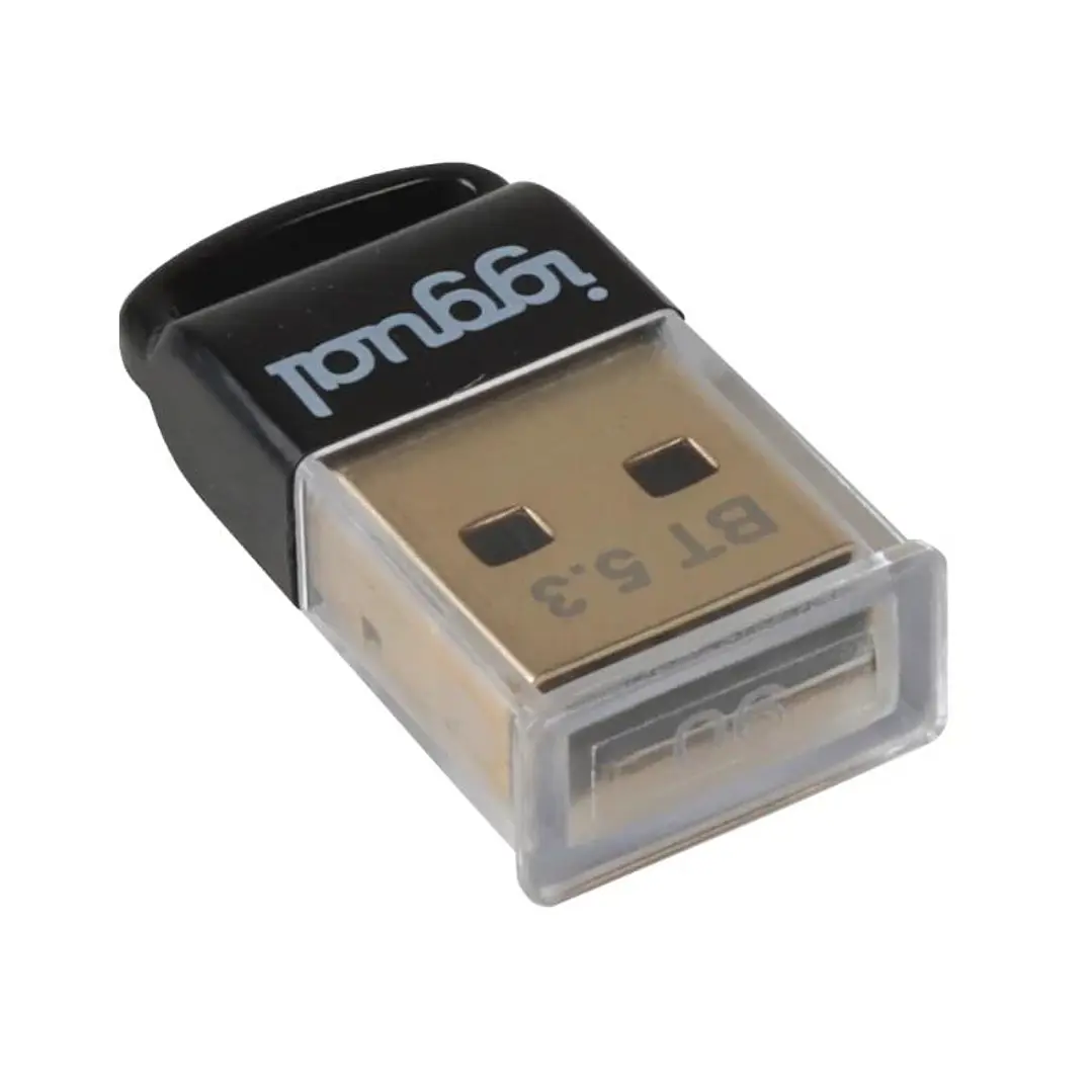 iggual Adaptador USB 2.0 mini Bluetooth 5.3 4