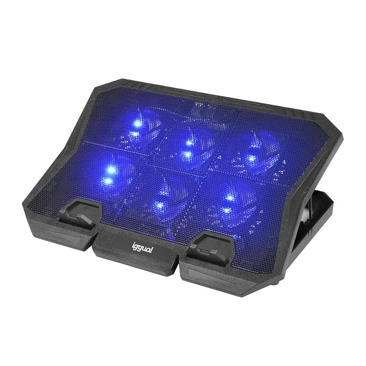 iggual Refrigerador portátil 6 ventiladores RP6V17 1