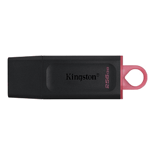 Kingston DataTraveler DTX 256GB USB 3.2 Gen1 Negro