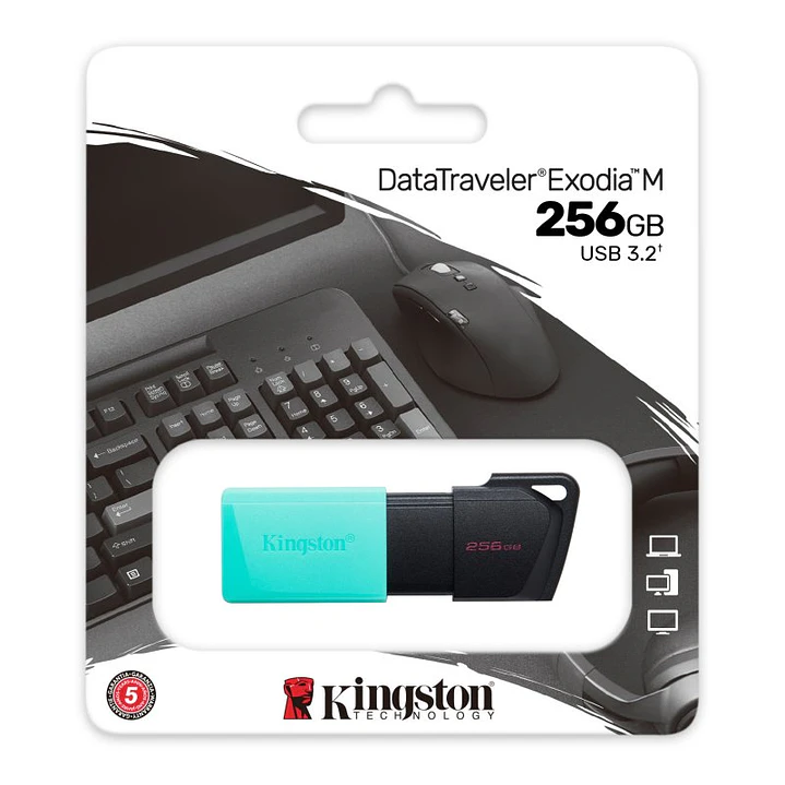 Kingston DataTraveler DTXM 256GB USB 3.2 Gen1 Turq 3