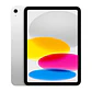 Apple IPAD WIFI 256GB SILVER - Miniatura 1