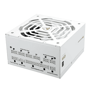 Cougar Fuente Alimentación GR 1000 Snow 80+ Gold