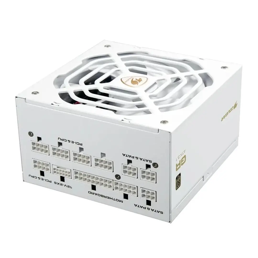 Cougar Fuente Alimentación GR 1000 Snow 80+ Gold 1