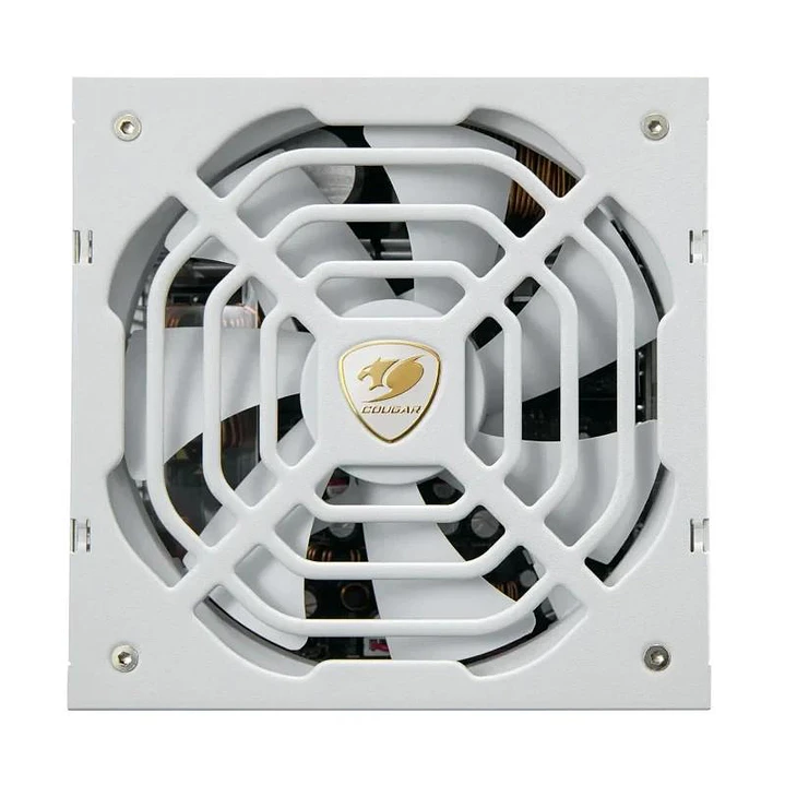 Cougar Fuente Alimentación GR 1000 Snow 80+ Gold 2