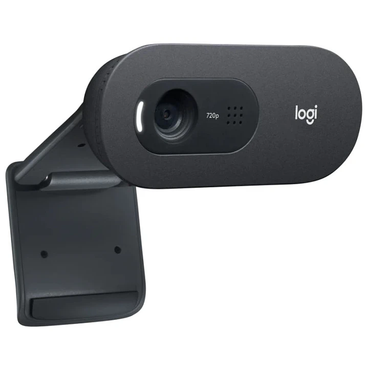 Logitech Webcam c505E 1280*720 Negro 1