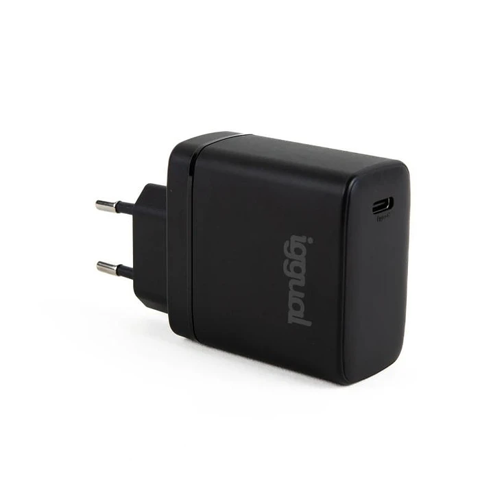 iggual Cargador rápido USB PD tipo C 45W GaN 1