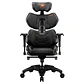 Cougar Silla Gaming Terminator - vignette 1