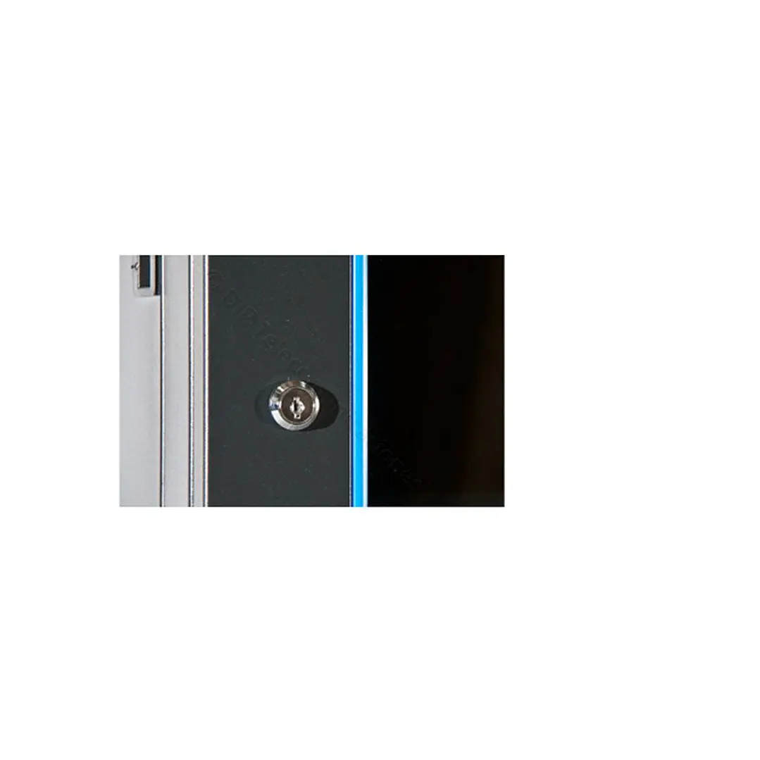 2LAN Armario Mural 6U 19