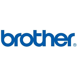 Brother Pack de 6 Rollos de Etiquetas Precortadas de Transferencia Termica - 600 Etiquetas por Rollo - Medidas 29x90mm