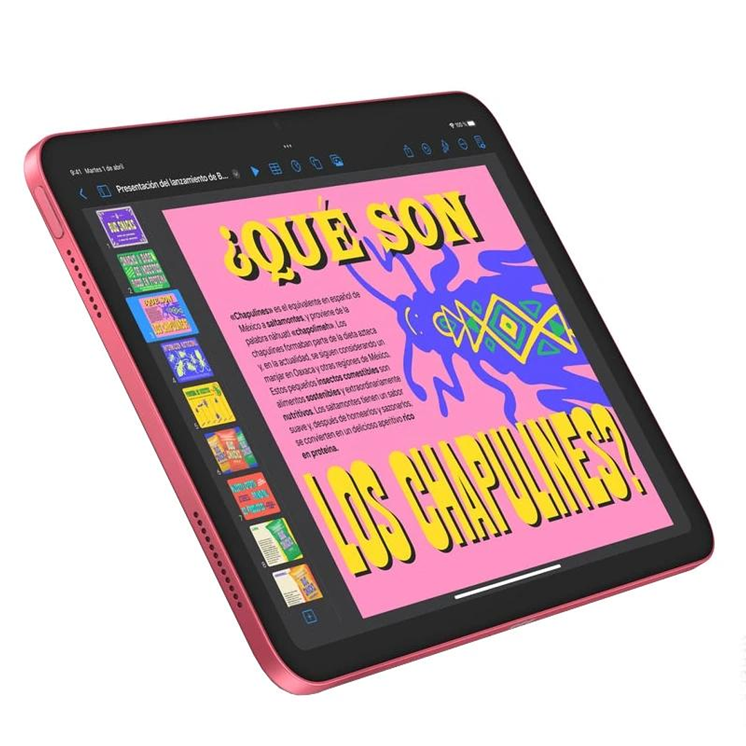 Apple IPAD WI-FI CELL 256GB PINK 2