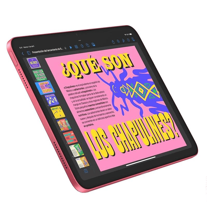 Apple IPAD WI-FI CELL 256GB PINK 2