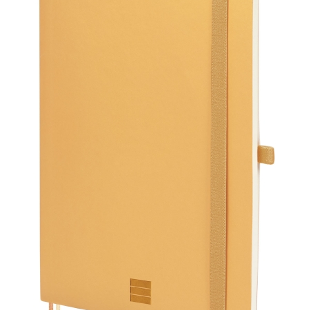 Finocam Nexo Cuaderno de Tapa Blanda - 72 Hojas - Formato A5 - 148x210mm - Papel Crema de 80g/m2 - Bolsillo Interior - Cierre con Goma - Portaboligraf 1