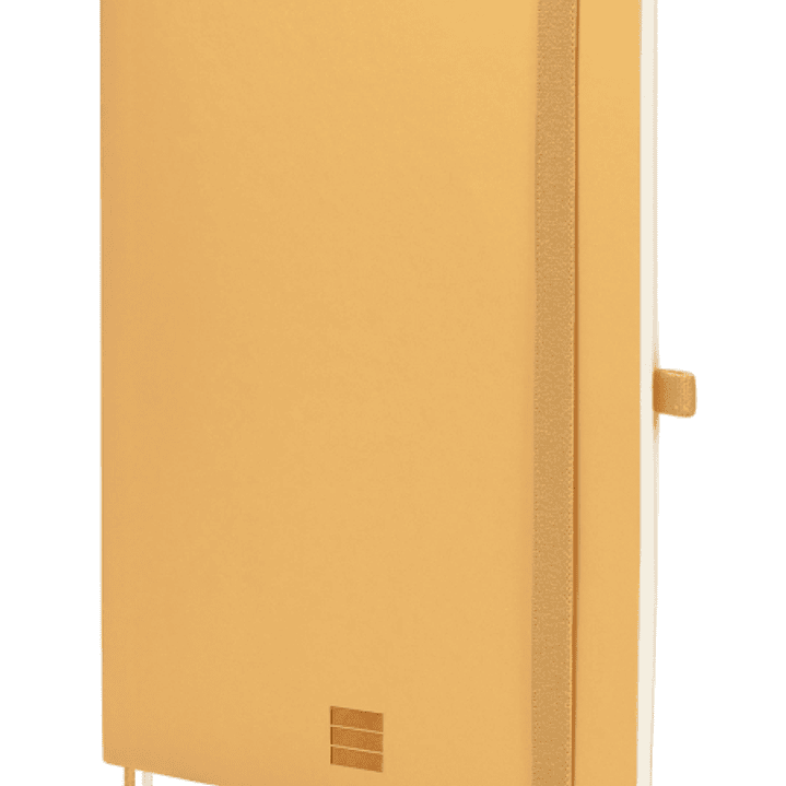 Finocam Nexo Cuaderno de Tapa Blanda - 72 Hojas - Formato A5 - 148x210mm - Papel Crema de 80g/m2 - Bolsillo Interior - Cierre con Goma - Portaboligraf 1