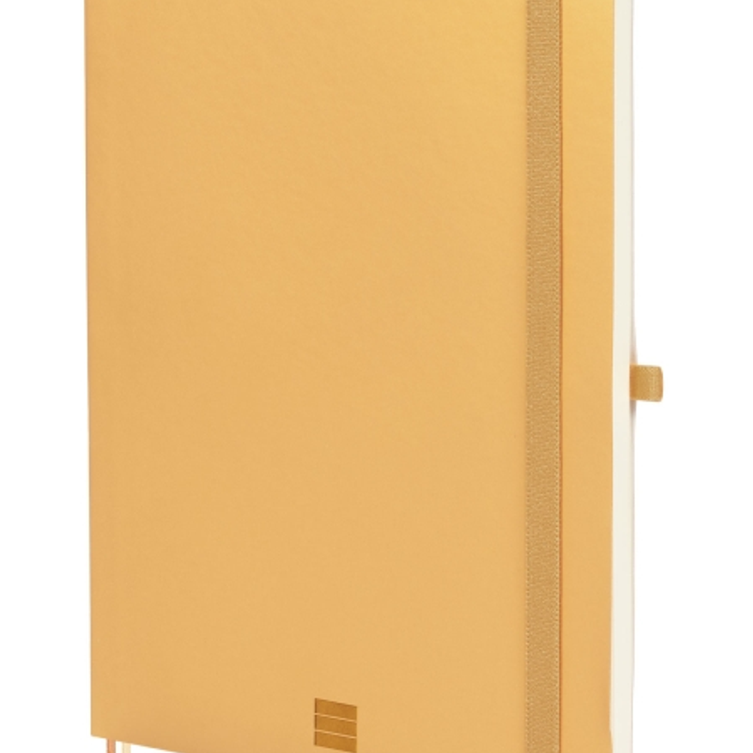 Finocam Nexo Cuaderno de Tapa Blanda - 72 Hojas - Formato B5 - 176x250mm - Papel Crema de 80g/m2 - Liso - Bolsillo Interior - Cierre con Goma - Hojas  1