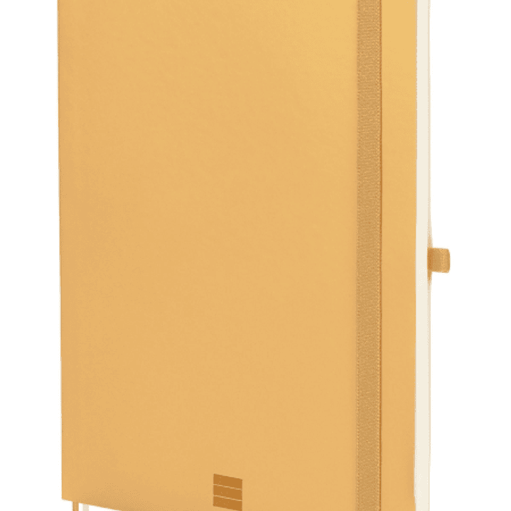 Finocam Nexo Cuaderno de Tapa Blanda - 72 Hojas - Formato B5 - 176x250mm - Papel Crema de 80g/m2 - Liso - Bolsillo Interior - Cierre con Goma - Hojas  1