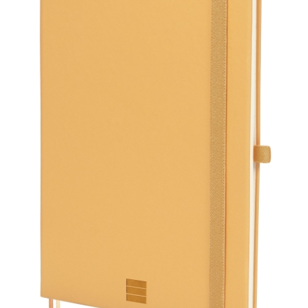 Finocam Nexo Cuaderno de Tapa Dura - 72 Hojas - Formato A5 - 148x210mm - Papel Crema de 80g/m2 - Liso - Bolsillo Interior - Cierre con Goma - Hojas Mi 1