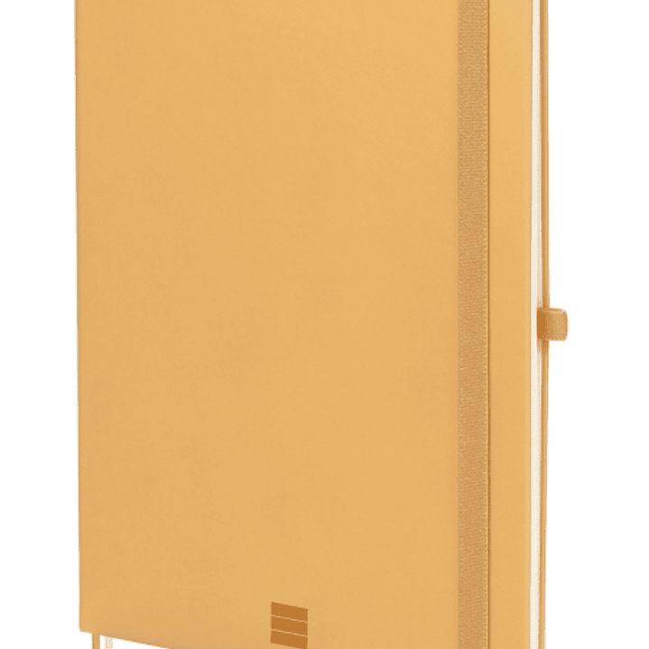 Finocam Nexo Cuaderno de Tapa Dura - 72 Hojas - Formato B5 - 176x250mm - Papel Crema de 80g/m2 - Liso - Bolsillo Interior - Cierre con Goma - Hojas Mi 1