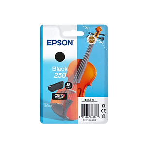 Epson 250 Negro Cartucho de Tinta Original - C13T16N14010