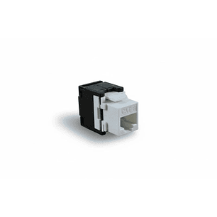 2LAN Conector RJ45 CAT.6 UTP Hembra TOOLESS 180º.
