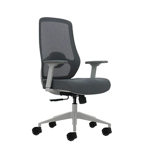 Oqonos Cherg 026 Silla de Oficina Ergonomica con Soporte Lumbar Ajustable en Altura y Profundidad, Reposabrazos 4D, Piston de Gas Clase 4, Asiento Erg