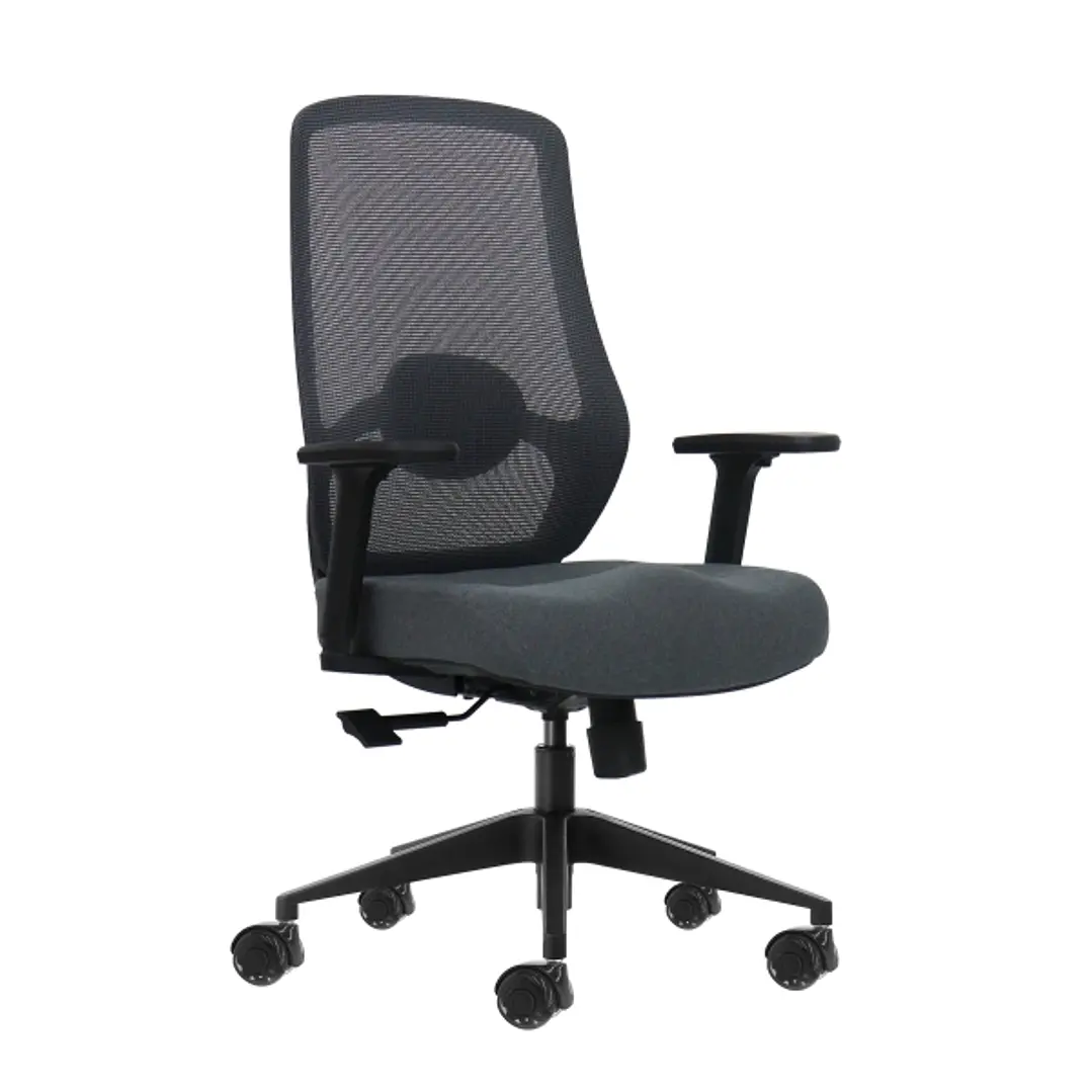 Oqonos Cherg 025 Silla de Oficina Ergonomica con Soporte Lumbar Ajustable en Altura y Profundidad, Reposabrazos 4D, Piston de Gas Clase 4, Asiento Erg 1
