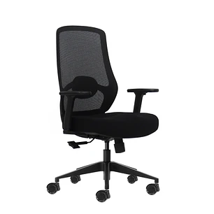 Oqonos Cherg 024 Silla de Oficina Ergonomica con Soporte Lumbar Ajustable en Altura y Profundidad, Reposabrazos 4D, Piston de Gas Clase 4, Asiento Erg
