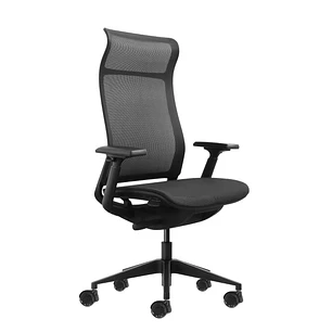 Oqonos Cherg 028 Silla de Oficina Ergonomica con Respaldo y Asiento de Malla Elastica, Mecanismo Autobalanceado, Reposabrazos 4D, Asiento Deslizable y