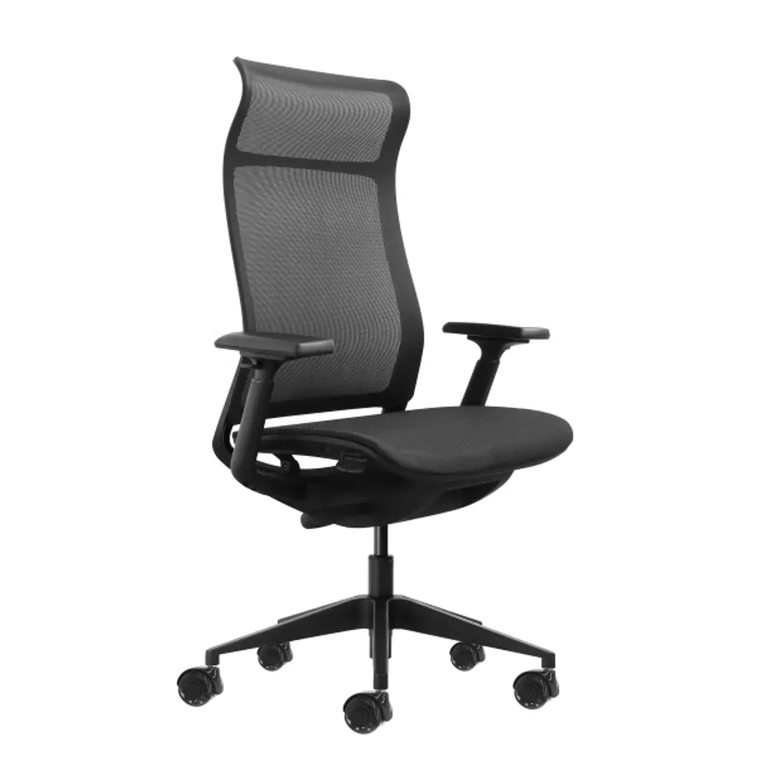 Oqonos Cherg 028 Silla de Oficina Ergonomica con Respaldo y Asiento de Malla Elastica, Mecanismo Autobalanceado, Reposabrazos 4D, Asiento Deslizable y 1
