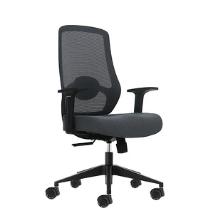 Oqonos Cherg 002 Silla de Oficina Ergonomica con Soporte Lumbar Ajustable en Altura y Profundidad, Respaldo de Malla Transpirable, Reposabrazos Fijos,