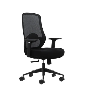 Oqonos Cherg 001 Silla de Oficina Ergonomica con Soporte Lumbar Ajustable en Altura y Profundidad, Respaldo de Malla Transpirable, Reposabrazos Fijos,