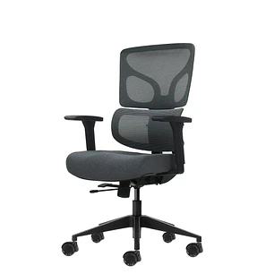 Oqonos Cherg 013 Silla de Oficina Ergonomica con Respaldo y Asiento de Malla Elastica, Reposabrazos 4D, Asiento Deslizable Ergonomico Moldeado y Rueda