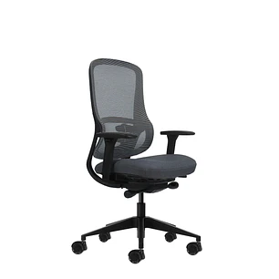 Oqonos Cherg 020 Silla de Oficina Ergonomica con Mecanismo Autobalanceado, Reposabrazos 4D, Asiento Deslizable y Ruedas de Silicona - Gris con Estruct