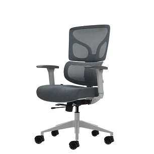 Oqonos Cherg 015 Silla de Oficina Ergonomica con Respaldo y Asiento de Malla Elastica, Reposabrazos 4D, Asiento Deslizable Ergonomico Moldeado y Rueda