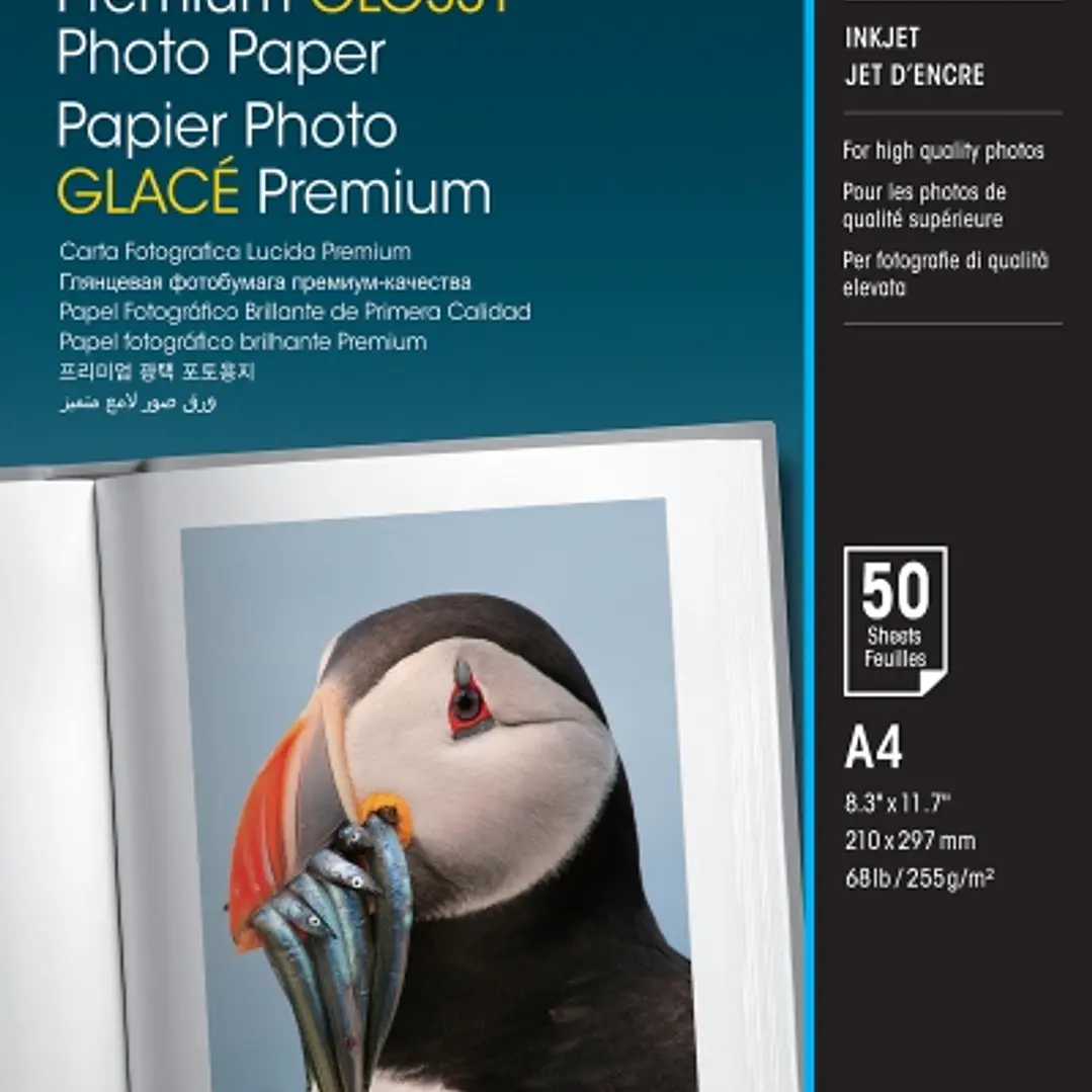 Epson Premium Glossy Photo Pack de 50 Hojas de Papel Fotografico - A4 - Gramaje de 255g/m2 - Acabado Brillante - Compatible con Impresoras Inkjet - Co 1