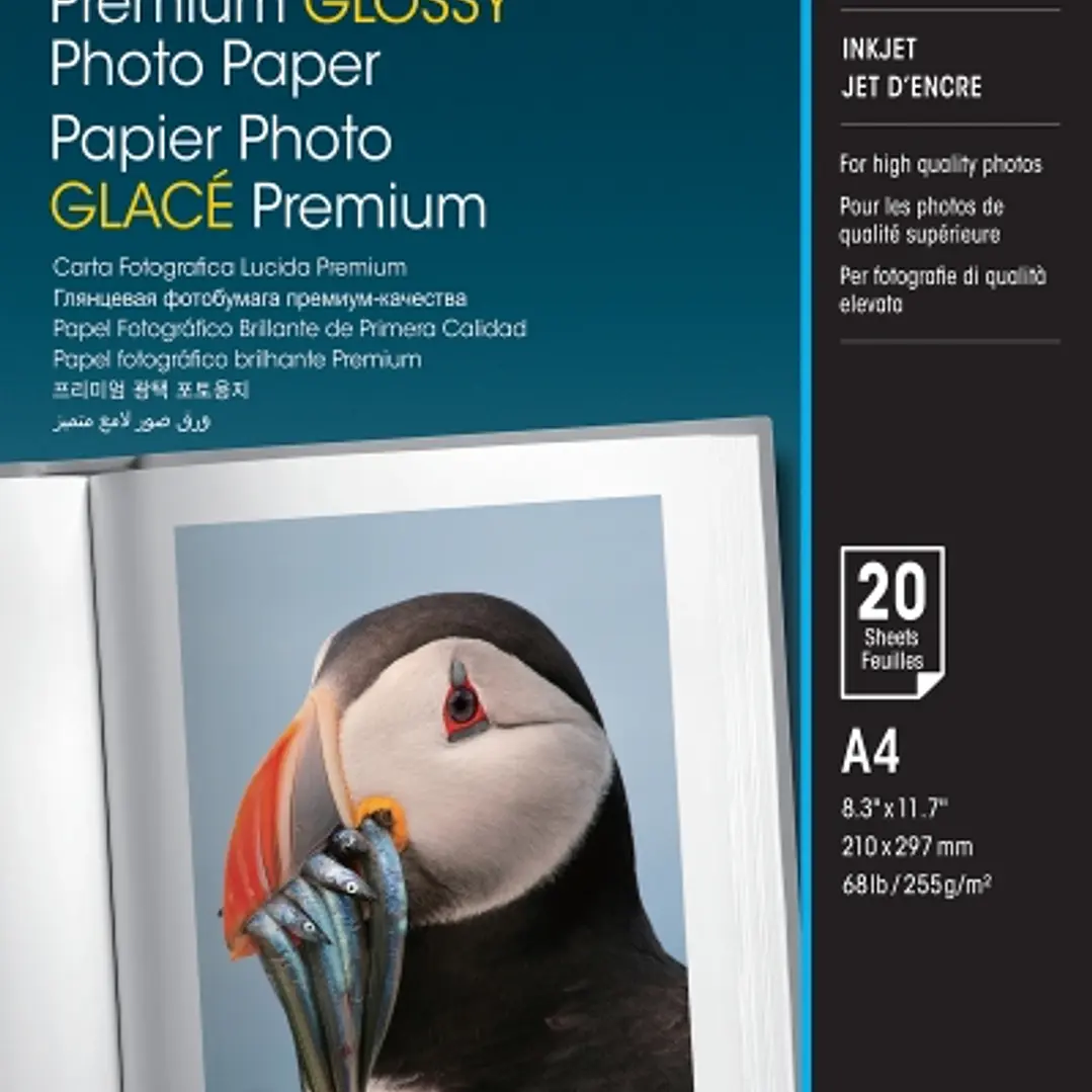 Epson Premium Glossy Photo Pack de 20 Hojas de Papel Fotografico - A4 - Gramaje de 255g/m2 - Acabado Brillante - Compatible con Impresoras Inkjet - Co 1