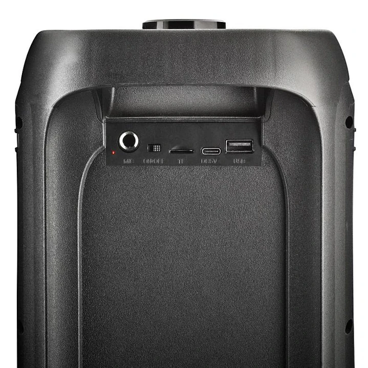 NGS Altavoz PORT WILDBANGER2  BT 160W 4H 3