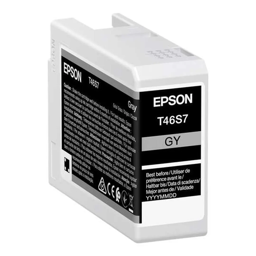 Epson T46S7 Gris Cartucho de Tinta Original - C13T46S700 1