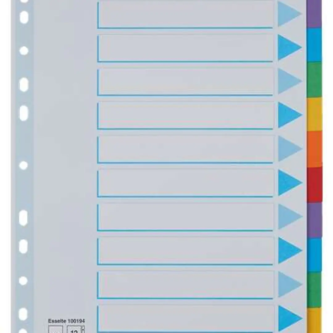 Esselte Separadores 12 Posiciones - Multitaladro - 6 Colores - Carton - Tamaño A4 1