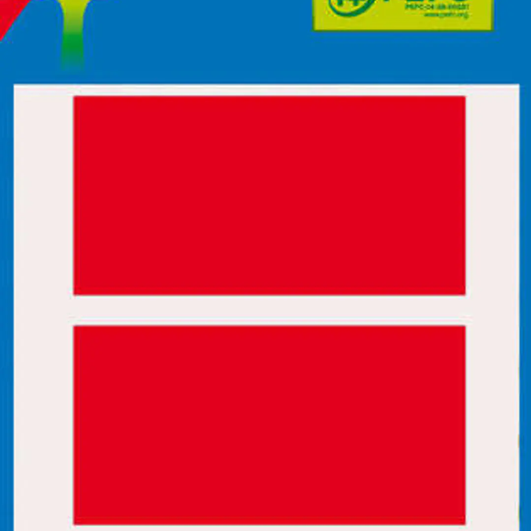 Apli Minibolsa de 15 Etiquetas Rectangulares 34x67mm - 5 Hojas por 3 Etiquetas - Adhesivo Permanente - Cantos Romos - Color Rojo 1