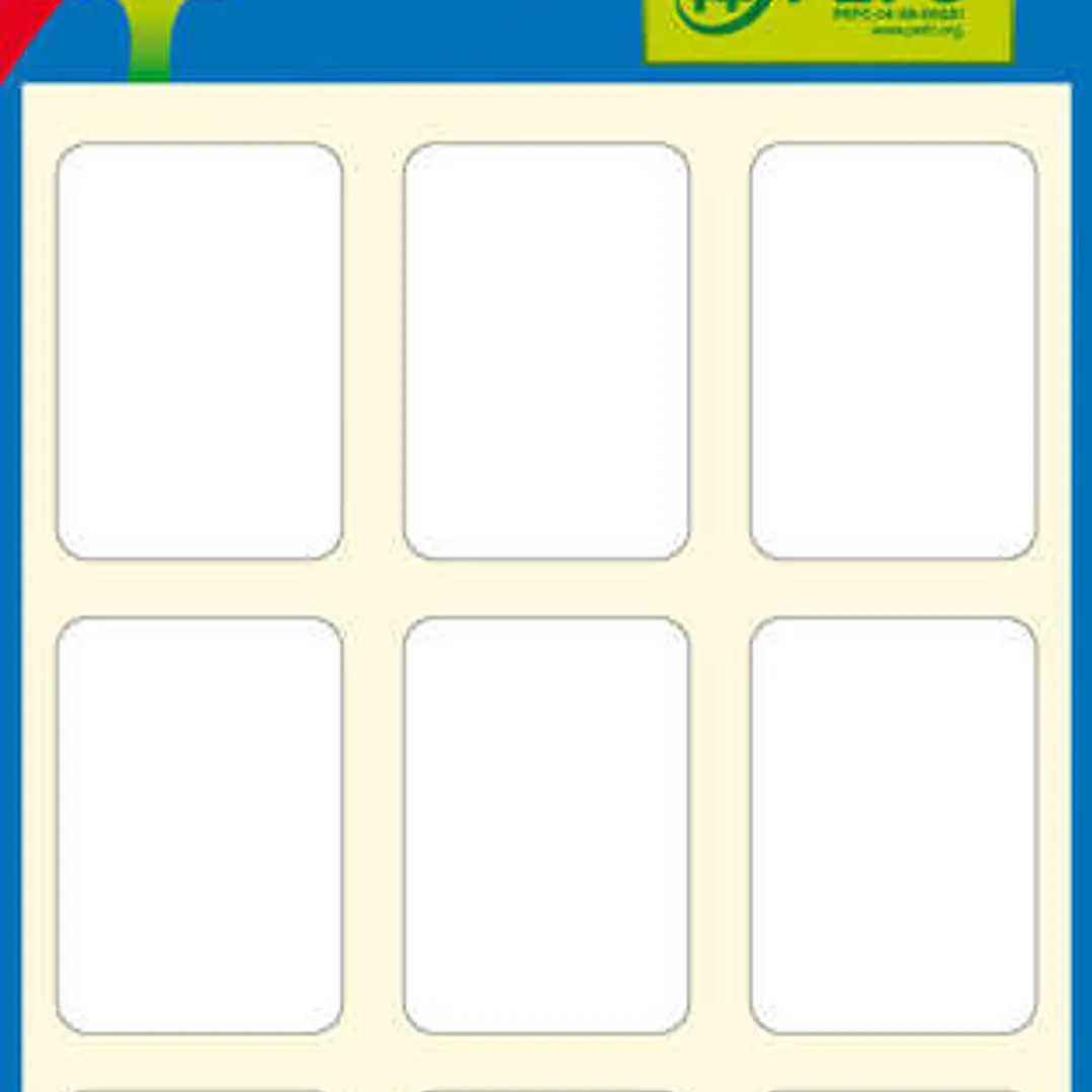 Apli Minibolsa de 54 Etiquetas Rectangulares 22x32mm - 6 Hojas por 9 Etiquetas - Adhesivo Permanente - Cantos Romos - Color Blanco 1